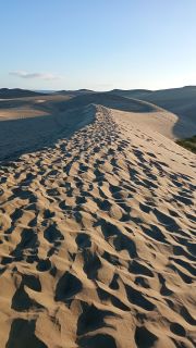 GC-Dunas de Maspalomas sunset 2026-079.jpg